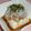 ＊まめゴマ＊'s cooksnap of when they made 大根おろしとシラスで冷奴.