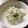 もものおかん's cooksnap of when they made 大根の酒粕わさび漬け.