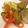 よし坊's cooksnap of when they made ズッキーニとカラフル野菜のボンゴレ.
