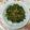 クックUJQEMF☆'s cooksnap of when they made お粥のお共☆大根菜としらすの胡麻油炒め.