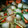 ココシャネル0607's cooksnap of when they made カブと桜エビの煮物.