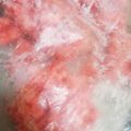 curisupin's cooksnap of when they made 絶対便利！冷凍パラパラミンチ.