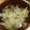 クックC9Z2EI☆'s cooksnap of when they made キャベツと白菜とエビで簡単スープ.