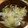 クックC9Z2EI☆'s cooksnap of when they made キャベツと白菜とエビで簡単スープ.