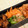 スタイリッシュママ's cooksnap of when they made しし唐の簡単おつまみ・香ばしいよ～！.