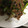ネーネ８'s cooksnap of when they made 牛肉とエリンギのオイスターソース炒め.