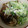 Kanarusei☆'s cooksnap of when they made ✿我が家の定番肉うどん✿.