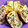 Cook★Robin's cooksnap of when they made もずくのだし巻き卵.
