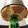 クック3I3877☆'s cooksnap of when they made 紅茶のシフォンケーキ.