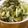 低カロ探検隊's cooksnap of when they made レタスと高菜の野菜炒め.
