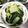 かなヒロ's cooksnap of when they made 白菜の葉だけで簡単☆中華風オイごま炒め.
