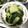 かなヒロ's cooksnap of when they made 白菜の葉だけで簡単☆中華風オイごま炒め.
