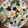 ♪choko♪'s cooksnap of when they made スモークサーモンのニース風サラダ.