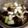 クックV00WDL☆'s cooksnap of when they made キノコと鶏肉の煮物.