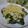 miyuki12's cooksnap of when they made ●材料3つ！！簡単タルタルソース●.
