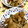 猫のミイヤ's cooksnap of when they made 簡単！ 大根 里芋 ごぼう 油揚げの煮物.