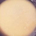 喜八＆Hacchi's cooksnap of when they made チキンとマッシュポテトのグレイビーソース.