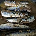 クックBLTENE☆'s cooksnap of when they made イワシの梅酢煮.