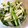 ポコポテト's cooksnap of when they made 旨っ！かぶの葉と皮の炒め煮.
