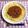 aki1030☆'s cooksnap of when they made トマトソースで簡単♪ミートソース.