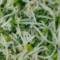 kyokoha's cooksnap of when they made 大根の葉ともやしのナムル.