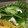 のえもゆ's cooksnap of when they made ささみと三つ葉のさっぱり和え.