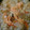 msgnb120's cooksnap of when they made おでんの残りで炊き込みご飯.