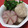 いこたん's cooksnap of when they made ソーセージしんじょと、かぶの上品な煮物.