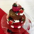 ✿をりん✿'s cooksnap of when they made さっぱり！カシスとヨーグルトのムース.