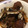 かな☆'s cooksnap of when they made 梅再利用・鰯の梅生姜煮.