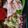 クックJDRLCG☆'s cooksnap of when they made ☆ちくわのたらこまぶし☆お弁当♪すきまに.
