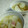 シロノワール's cooksnap of when they made かぶとベーコンのとろとろコンソメ煮.