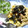 クックE3X2NC☆'s cooksnap of when they made 余ったサラスパ活用！和風たまごスパゲティ.