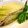 LimeLunch's cooksnap of when they made 白菜のミルフィーユ仕立て.