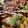 kkll0000's cooksnap of when they made ズボラひとりランチ❇たこ焼き丼.