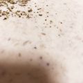 おまめˆᴗˆ's cooksnap of when they made 秋☆キノコのポタージュスープ.