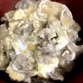mcapちゅん's cooksnap of when they made 風邪のときの豚丼.