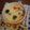 suzume's cooksnap of when they made コーンクリームフラン（洋風茶碗蒸し）.