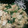 おくみの's cooksnap of when they made 簡単★節約★優しい味【揚げ玉ふわとろ丼】.