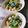 クックるん☆戦隊's cooksnap of when they made 簡単！鶏と小松菜のクリーム煮.