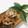 2525招き猫's cooksnap of when they made 簡単材料3つだけ！蓮根のはさみ焼き.