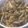 ゆうすけたろはは's cooksnap of when they made 焼ききのこのきざみ昆布煮【作りおき】.