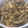 ゆうすけたろはは's cooksnap of when they made 焼ききのこのきざみ昆布煮【作りおき】.