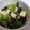 マシュマロ0918's cooksnap of when they made エリンギと小松菜のマヨ炒め.