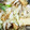 ＊Riｰno＊'s cooksnap of when they made 厚揚げと豚バラのおろし煮.