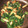 cloer＊jam's cooksnap of when they made カブの葉っぱのさっと炒めぇ♪.