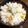キョーマキ's cooksnap of when they made とうもろこしご飯.