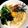 クック4HQYJW☆'s cooksnap of when they made 明太子入り釜玉うどん.