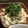 ☆初音☆'s cooksnap of when they made 生ヤーコンサラダ.