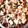 ネコちーずケーキ's cooksnap of when they made 簡単和食♪鶏ささみとワカメ＊もやしの煮物.